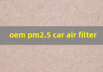 oem pm2.5 car air filter